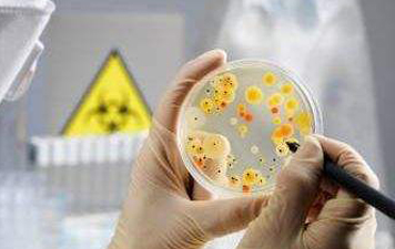 生態(tài)破壞行為致微生物損害鑒定